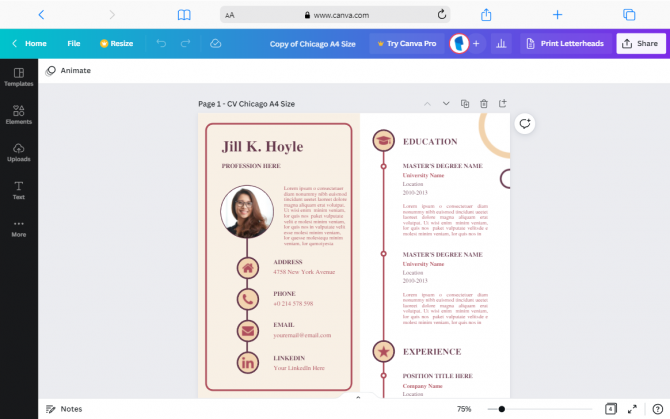 Template CV Chicago Canva